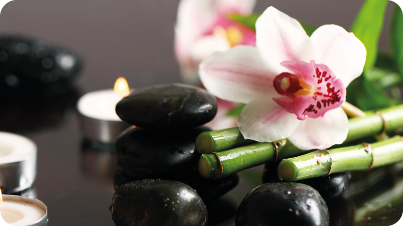 비닐 카펫 자연 오키드 세레니티 - TenStickers