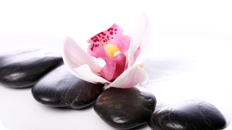 비닐 카펫 자연 우아한 꽃의 평온함 - TenStickers