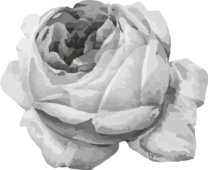 비닐 카펫 꽃과 식물 장미 블로섬 - TenStickers