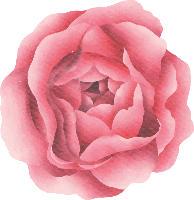 비닐 카펫 꽃과 식물 블러시 핑크 블룸 - TenStickers