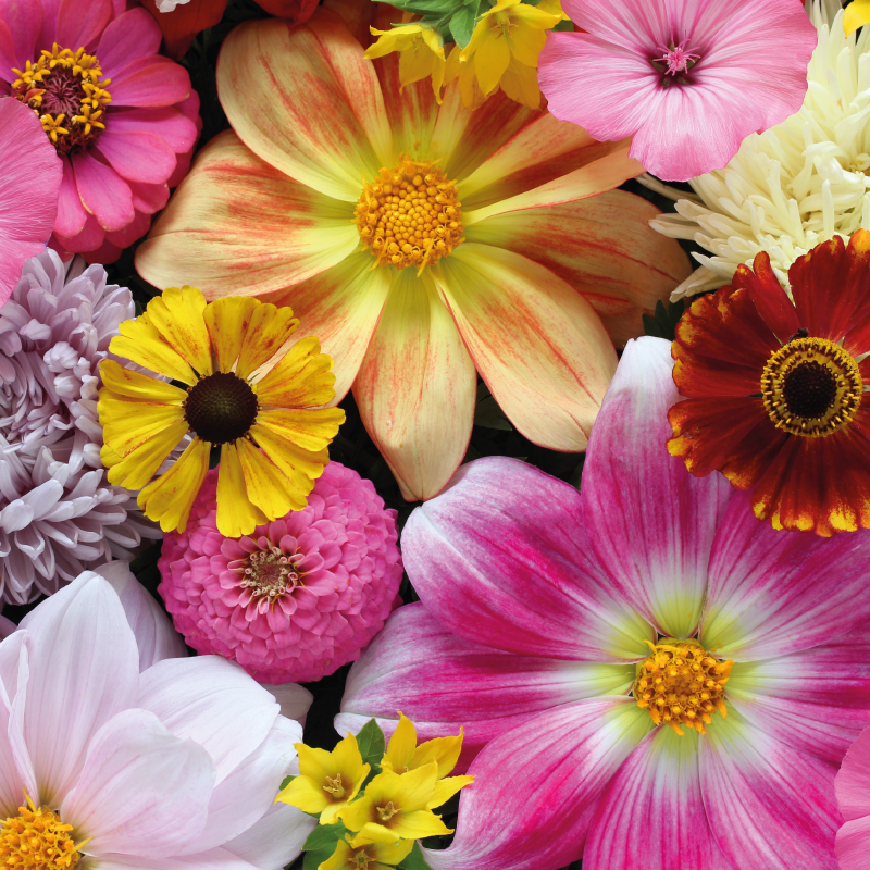 비닐 카펫 꽃과 식물 아름다운 사실적 배열 - TenStickers