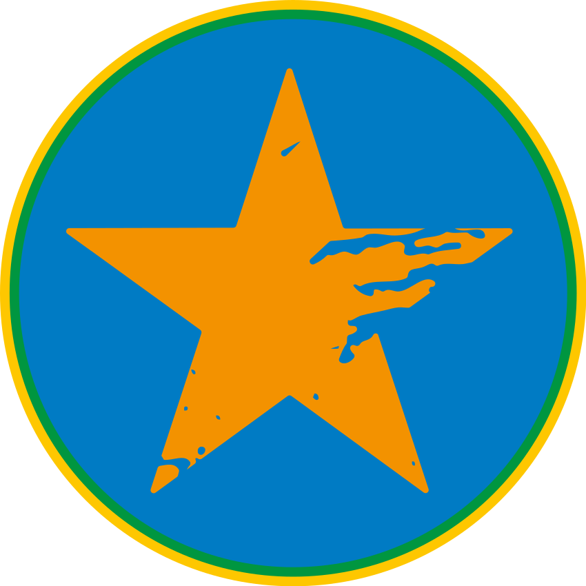 어린 이용 비닐 카펫 블루 스타 악센트 - TenStickers