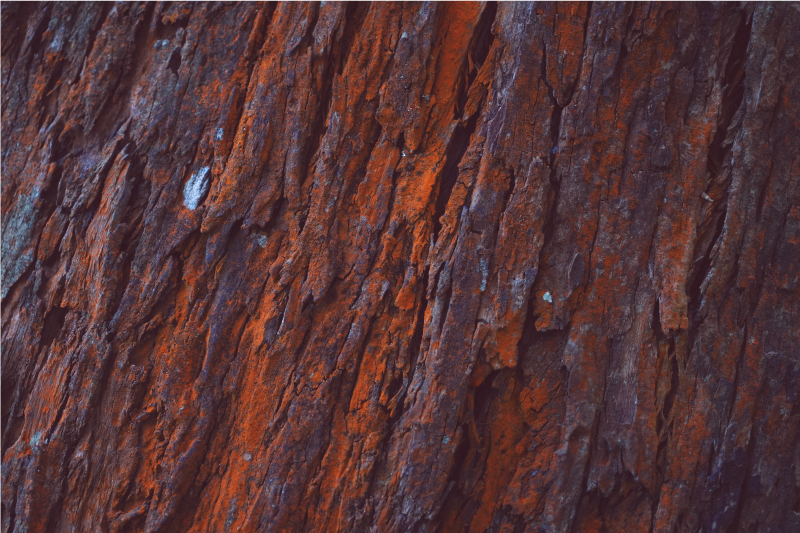 우드 효과 비닐 카펫 rustic bark - TenStickers