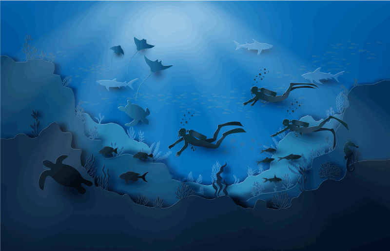 비닐 카펫 자연 수중 탐험 - TenStickers