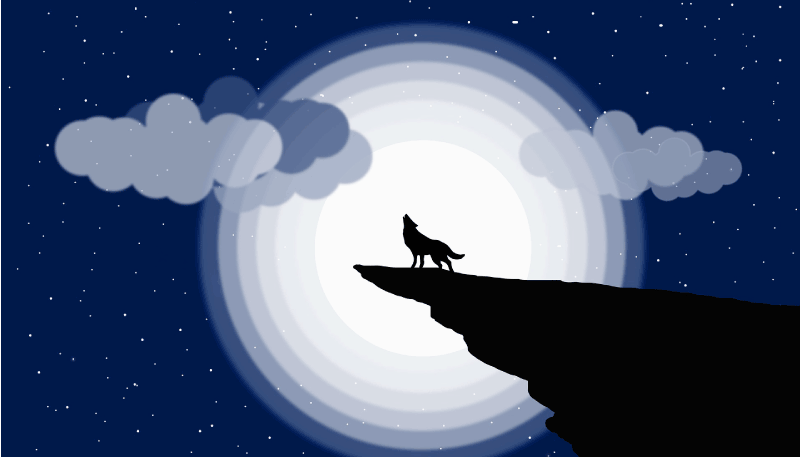 열대 효과 비닐 카펫 초승달 울음소리 - TenStickers