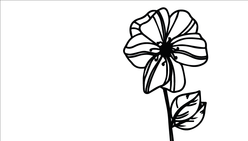 비닐 카펫 꽃과 식물 우아한 흑백 디자인 - TenStickers