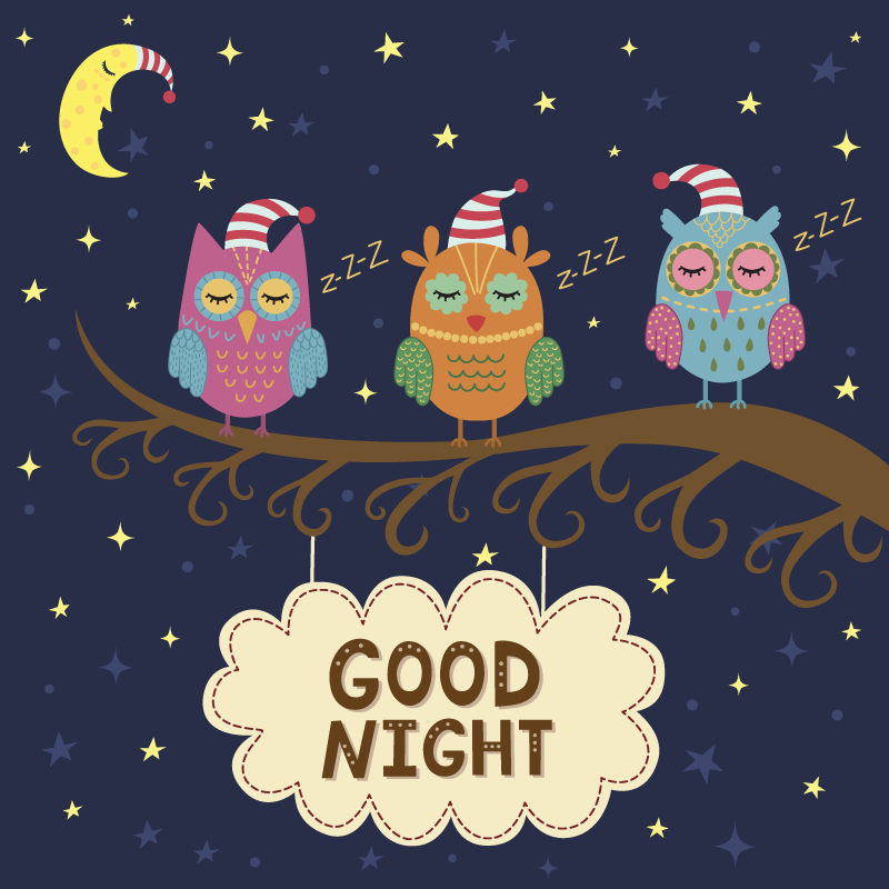 비닐 카펫 동물 졸린 올빼미 3인조 - TenStickers