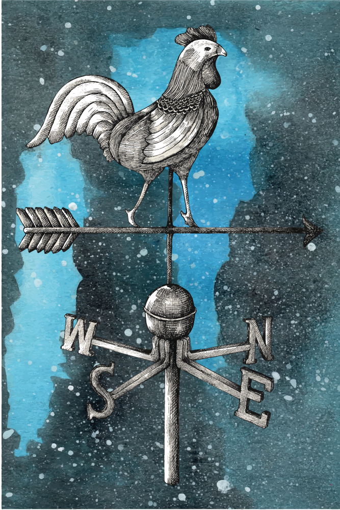 열대 효과 비닐 카펫 날씨 바람개비 수탉 - TenStickers