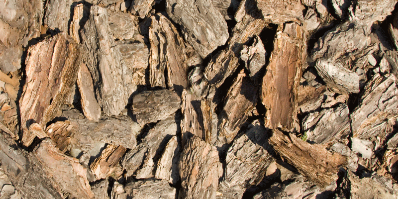 우드 효과 비닐 카펫 자연 나무 껍질 디자인 - TenStickers