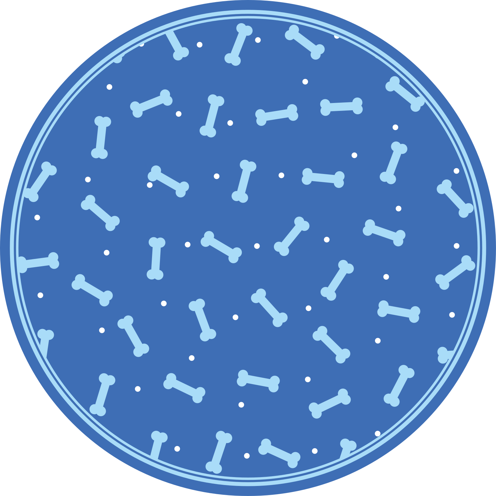 비닐 카펫 게시판 뼈무늬 놀이 - TenStickers