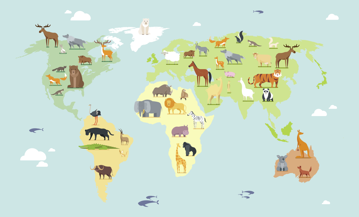 세계 지도 비닐 카펫 아동용 스타일 - TenStickers