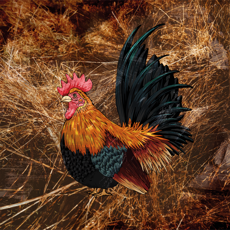 애니멀 프린트 비닐 카펫 생동감 넘치는 수탉 그림 - TenStickers