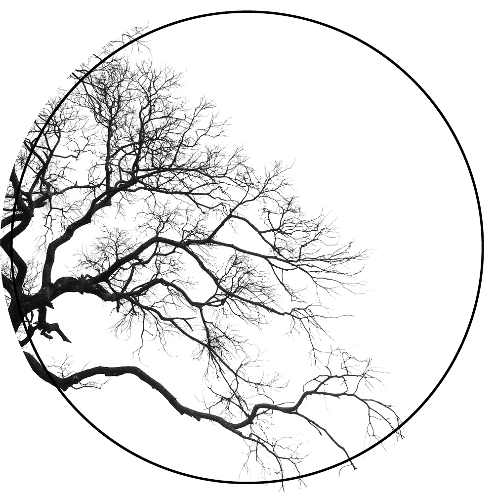 비닐 카펫 자연 가지 실루엣 아트 - TenStickers