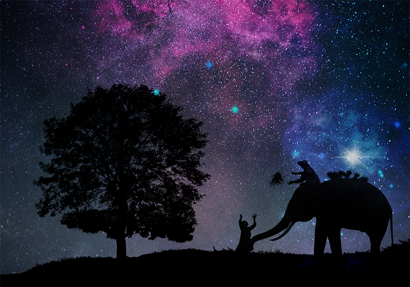 별이 빛나는 밤 코끼리 자연 비닐 깔개 - TenStickers