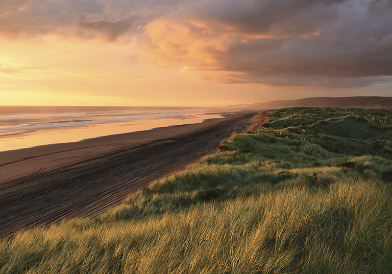 비닐 카펫 자연 석양 해변 풍경 - TenStickers