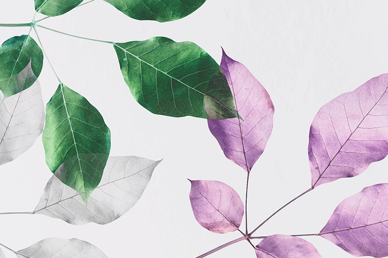 비닐 카펫 꽃과 식물 잎이 무성한 식물 프린트 - TenStickers