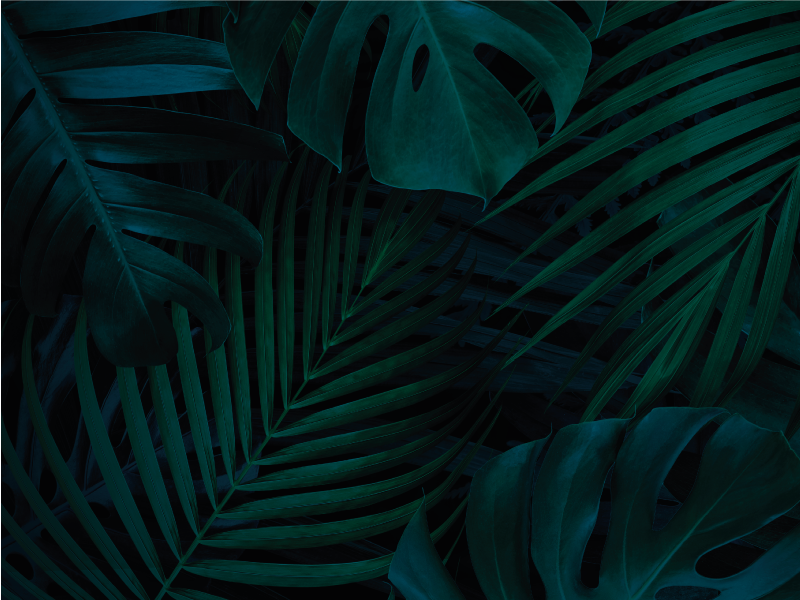 비닐 카펫 꽃과 식물 열대 식물 잎사귀 - TenStickers