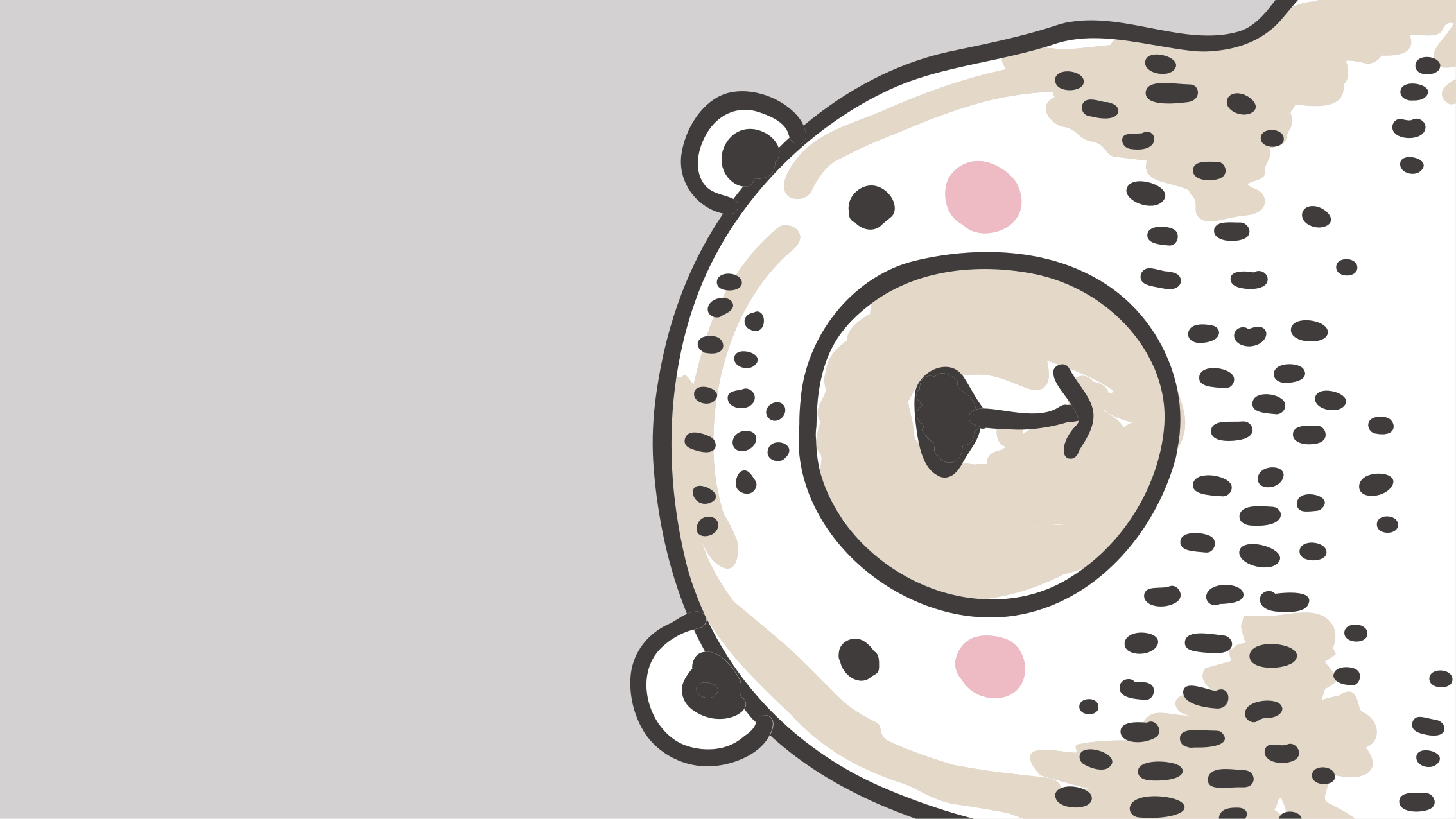 비닐 카펫 보육 곰 얼굴 모양 - TenStickers