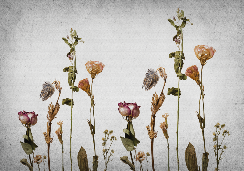 스칸디나비아 스타일 마른 식물 꽃 깔개 - TenStickers