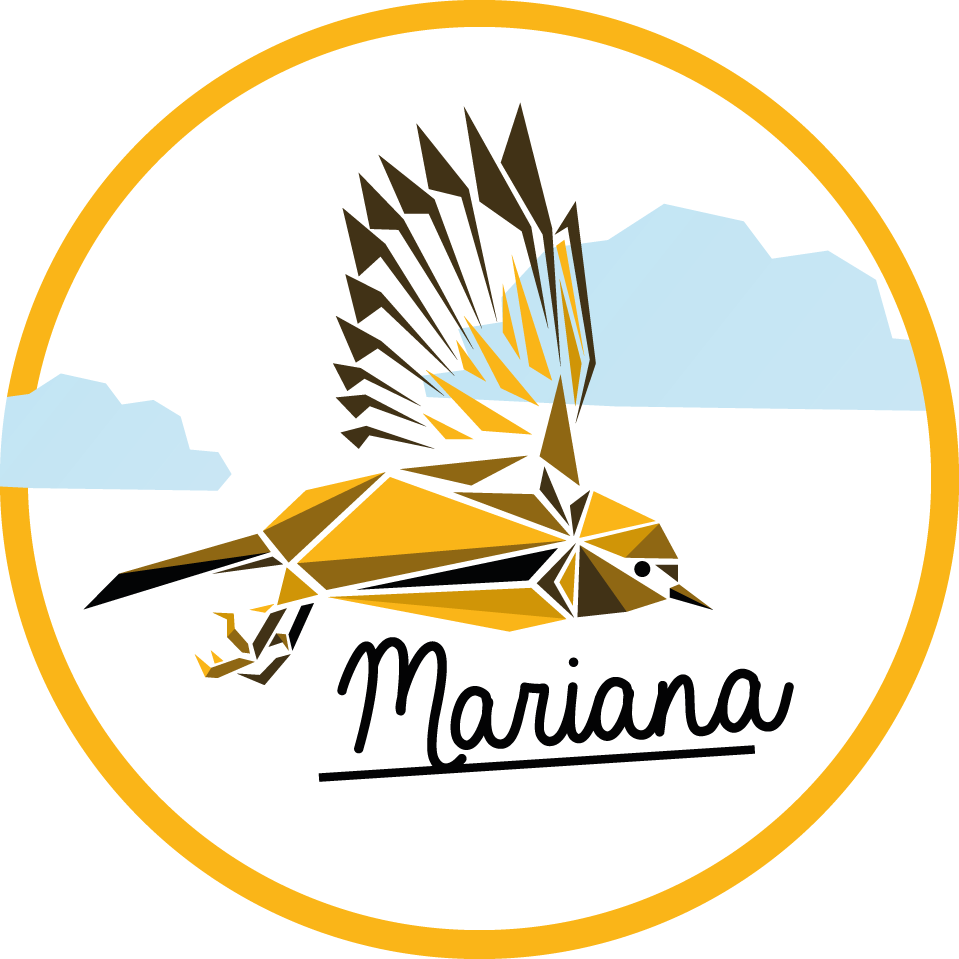 이름이있는 비닐 카펫 맞춤형 새 - TenStickers