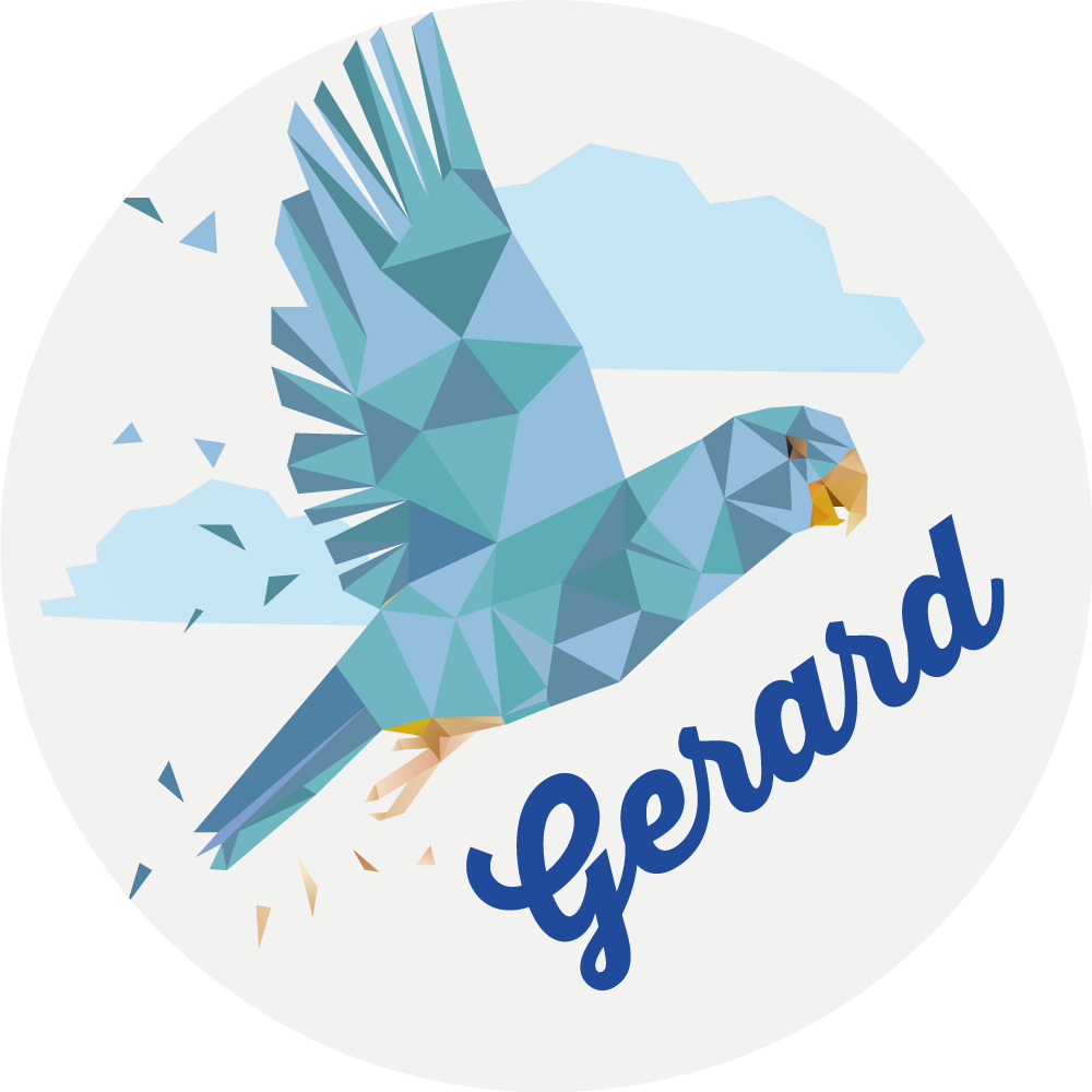 이름이있는 비닐 카펫 맞춤형 기하학적 독수리 - TenStickers