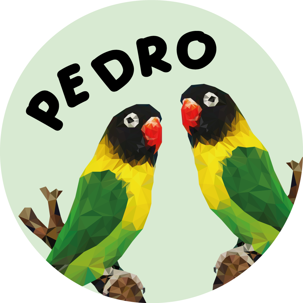 이름이있는 비닐 카펫 맞춤형 사랑새 - TenStickers