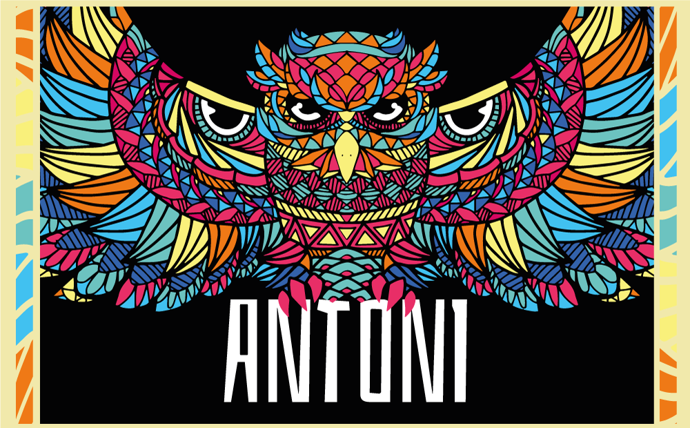 이름이있는 비닐 카펫 화려한 올빼미 맞춤 제작 - TenStickers