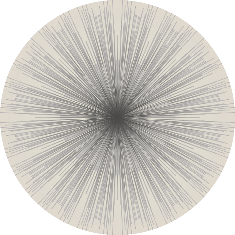 미니멀리스트 효과 비닐 카펫 기하학적 버스트 원형 디자인 - TenStickers