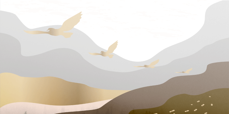 비닐 카펫 동물 달래는 새들의 실루엣 풍경 - TenStickers