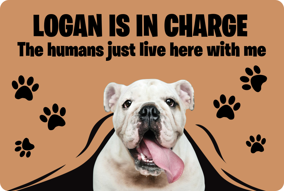 맞춤형 사진 애완 동물 현관 타일 - TenStickers