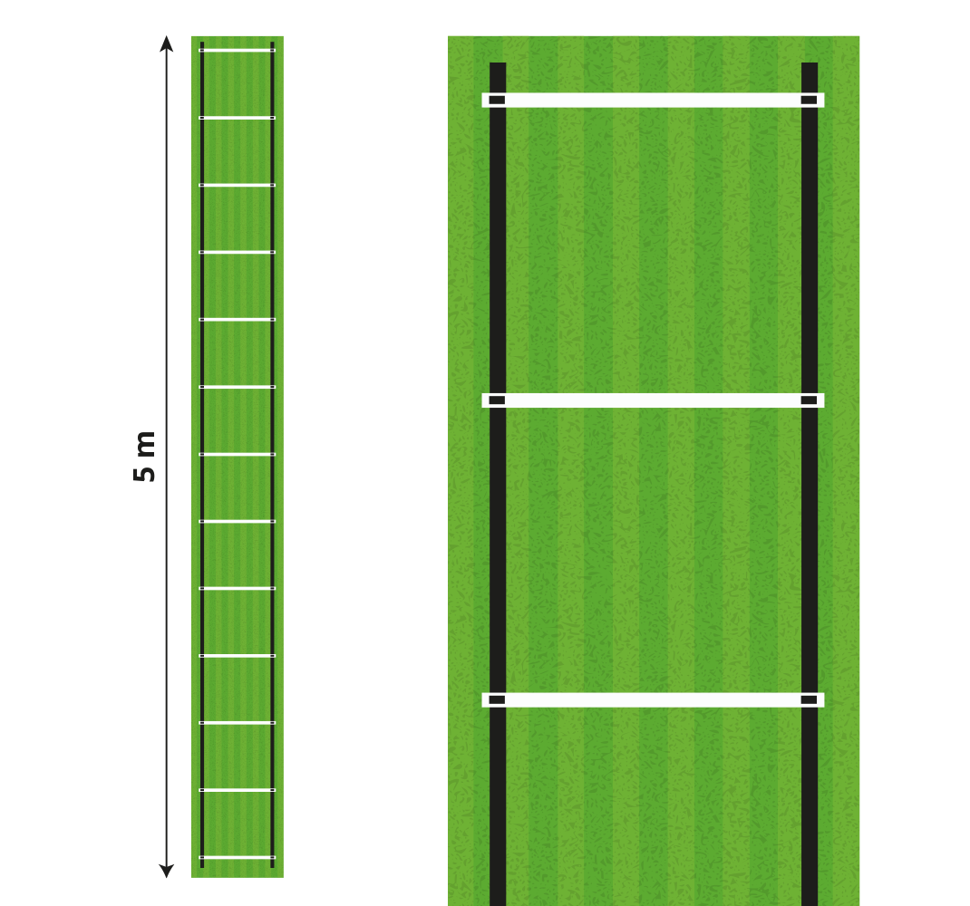 열대 효과 비닐 카펫 속도 훈련 사다리 5미터 - TenStickers