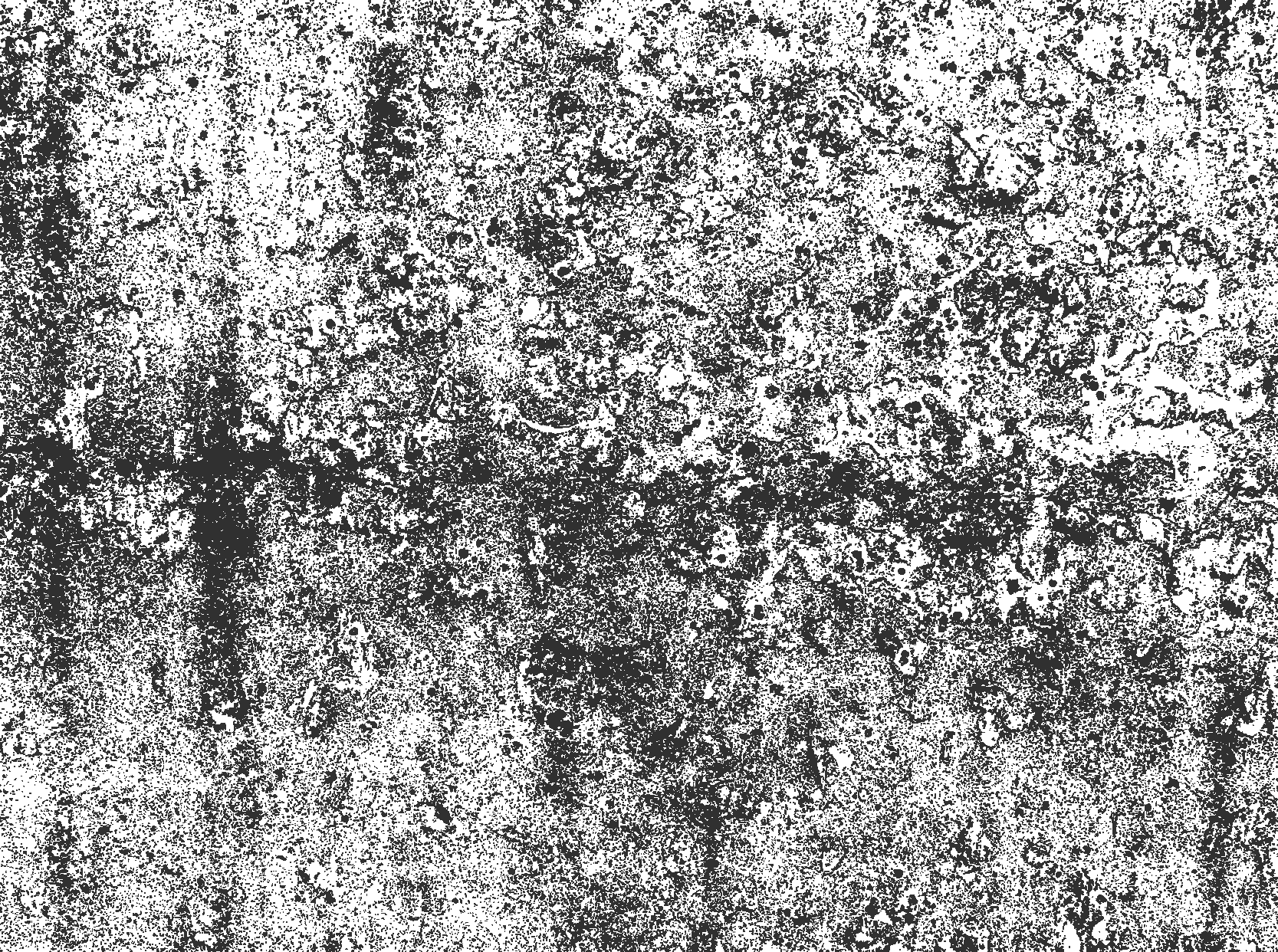 레스토랑용 비닐 카펫 바랜 회색 - TenStickers