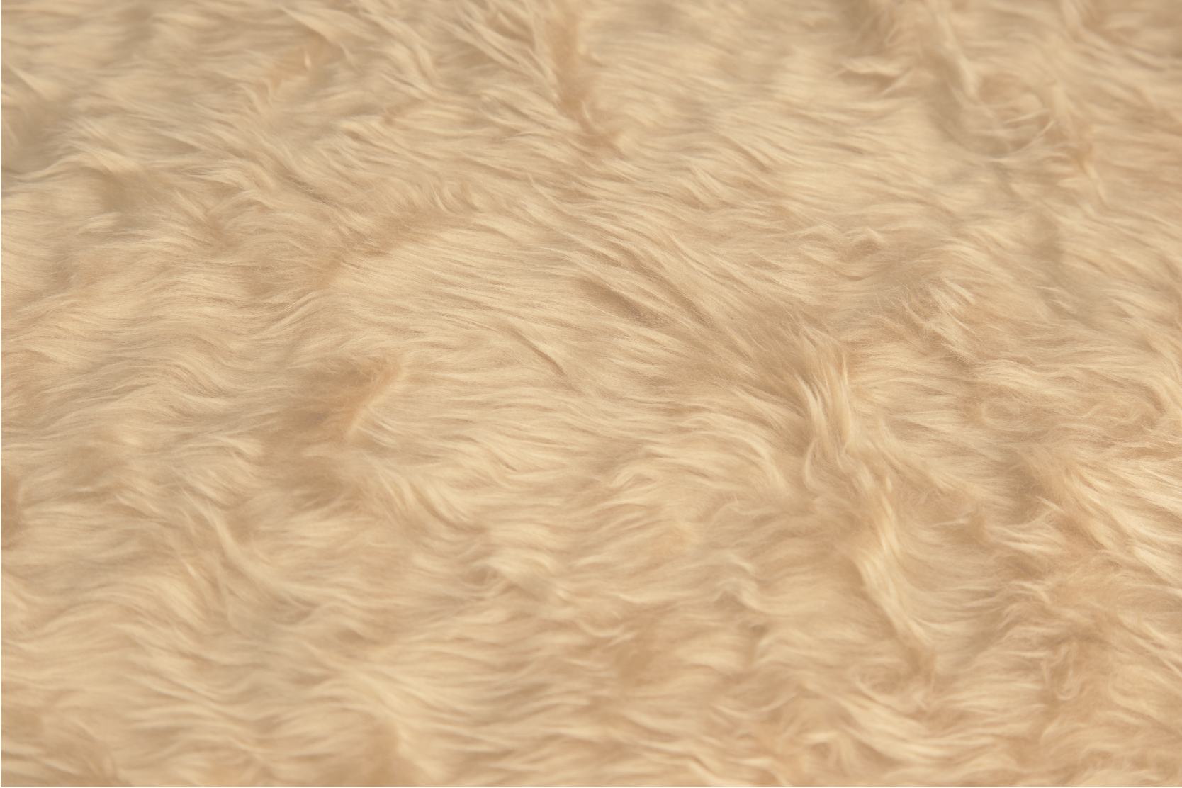 레스토랑용 비닐 카펫 양모 효과 디자인 - TenStickers