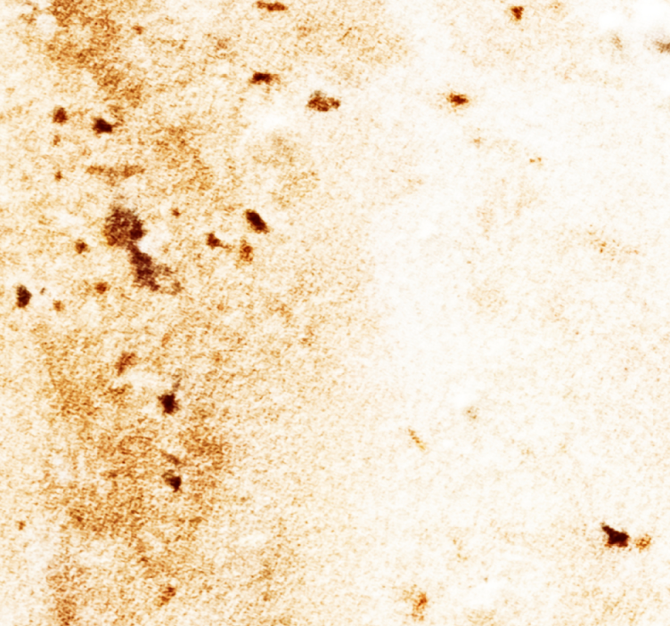 대리석 질감 벽지 자연석 미학 - TenStickers